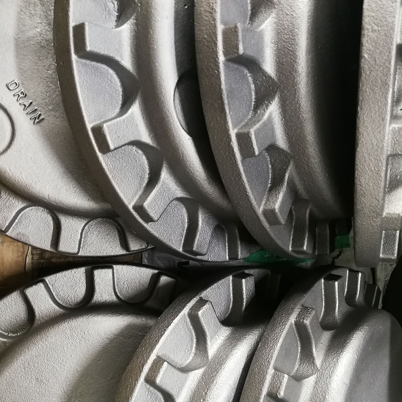 Drain line lid