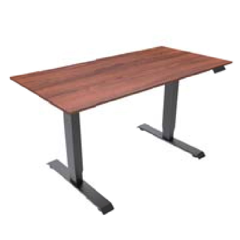 Dual Motors Electric Sit-Stand Desk-DM23-01R
